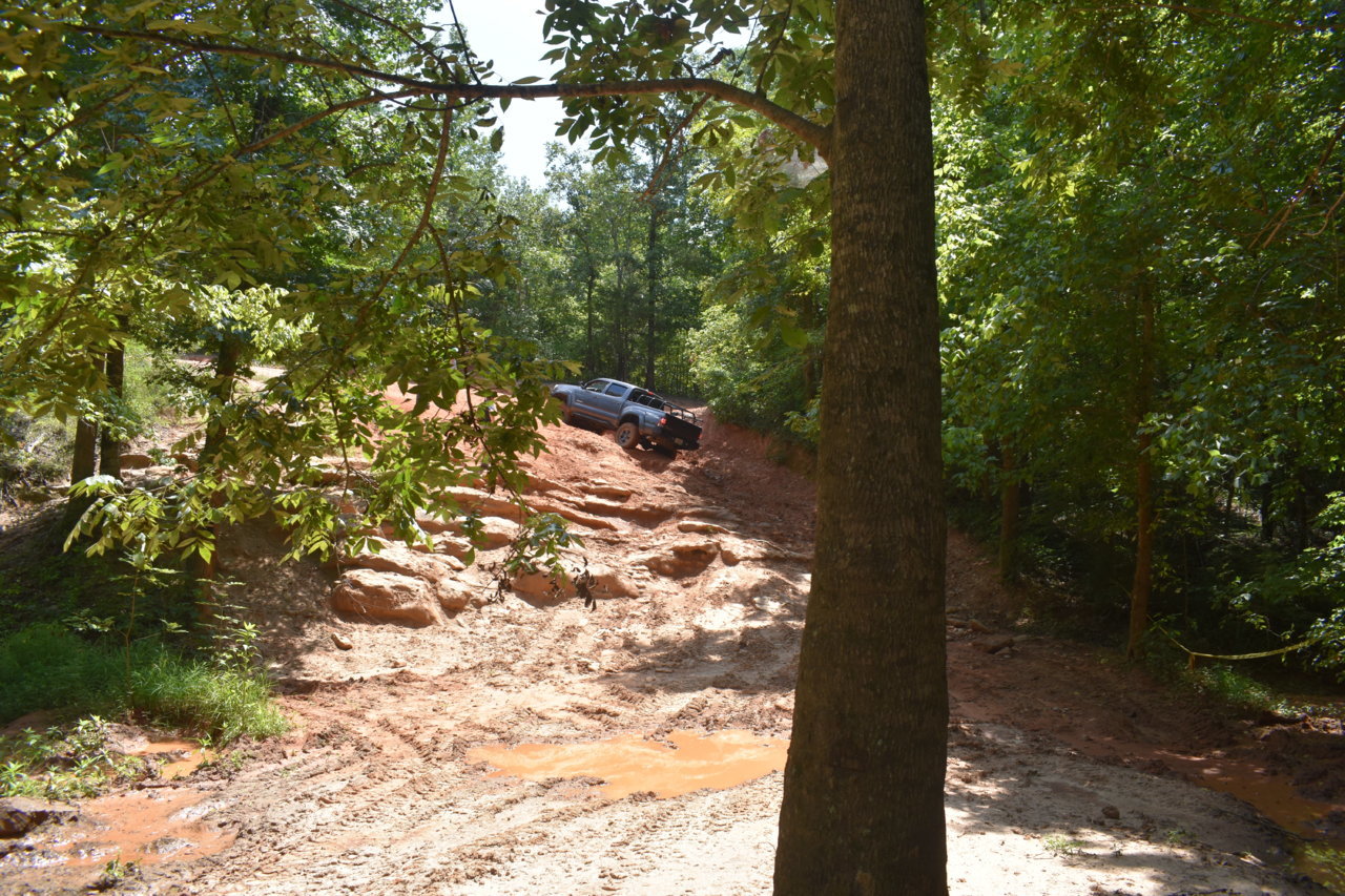 DSC_0195.jpg