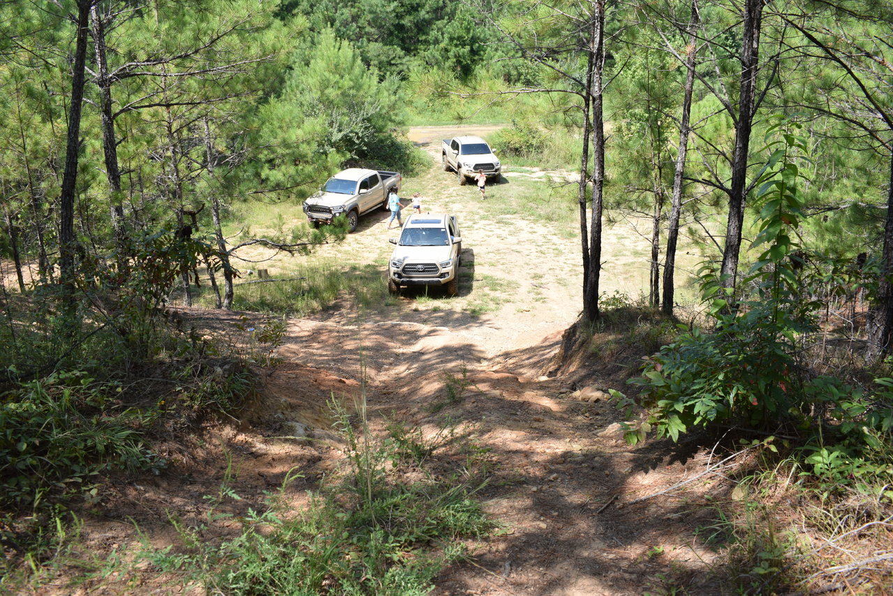 DSC_0198.jpg