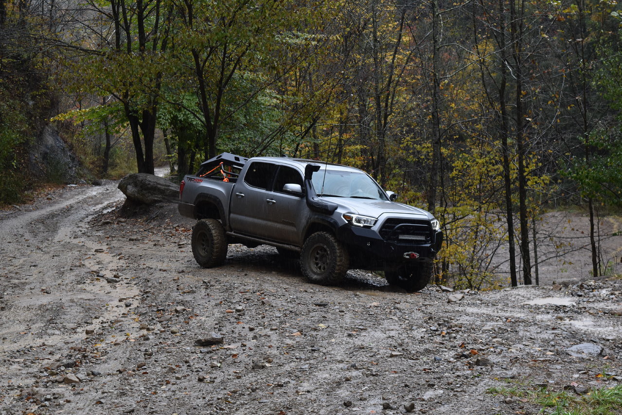 DSC_0198.jpg
