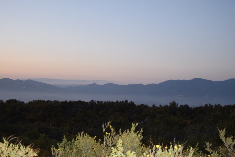 DSC_0199.jpg