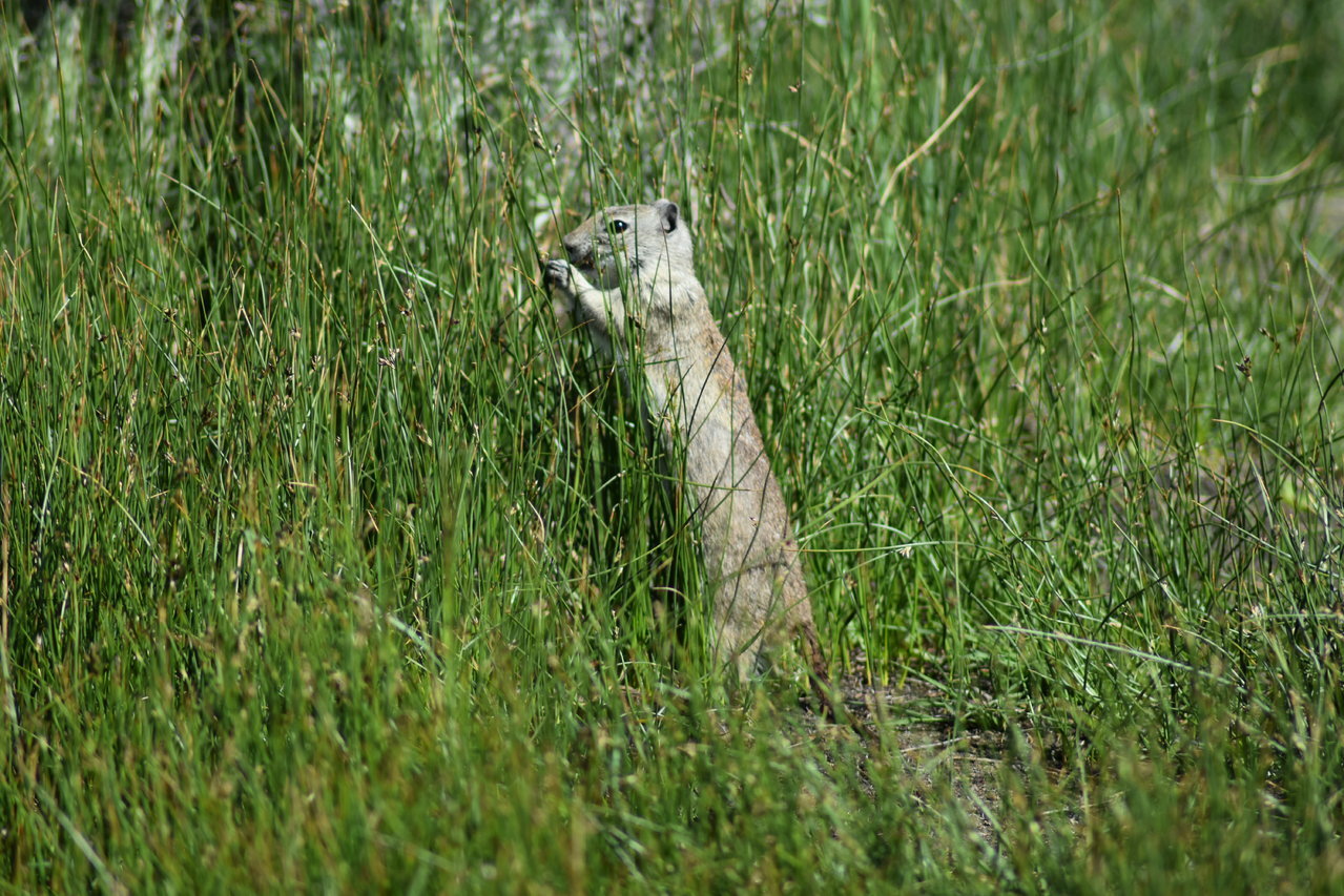 DSC_0200.jpg
