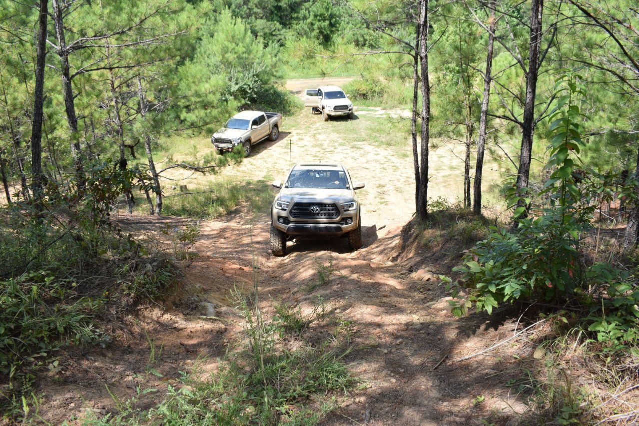 DSC_0200.jpg