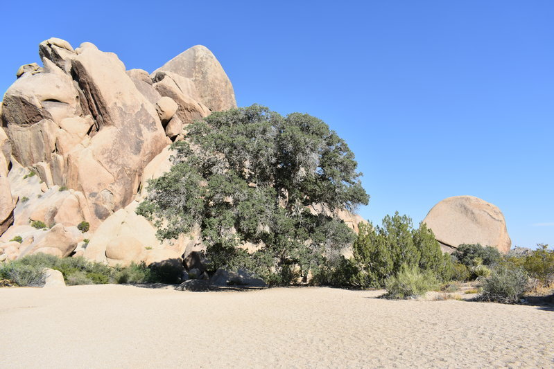 DSC_0201.jpg