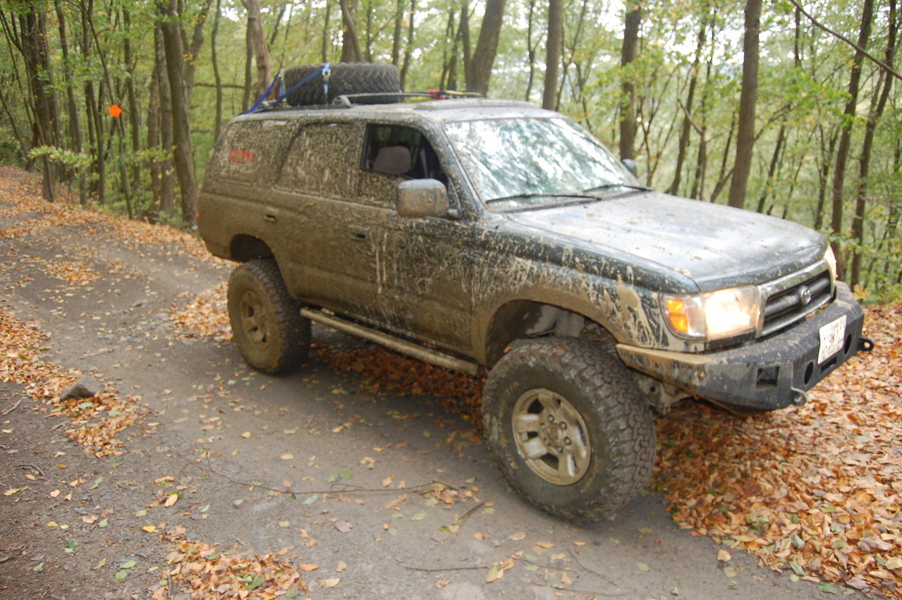 DSC_0201.jpg