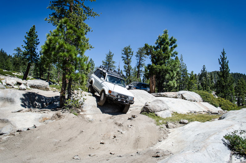 DSC_0202.jpg