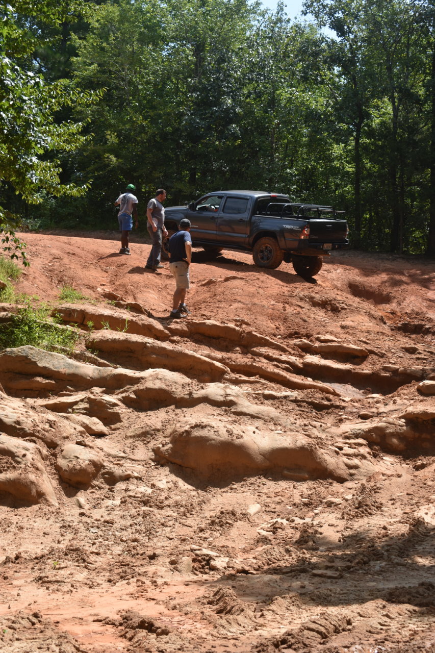 DSC_0202.jpg