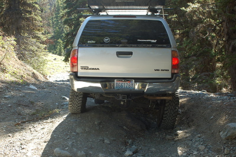 DSC_0202.jpg