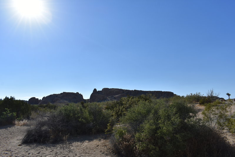 DSC_0203.jpg