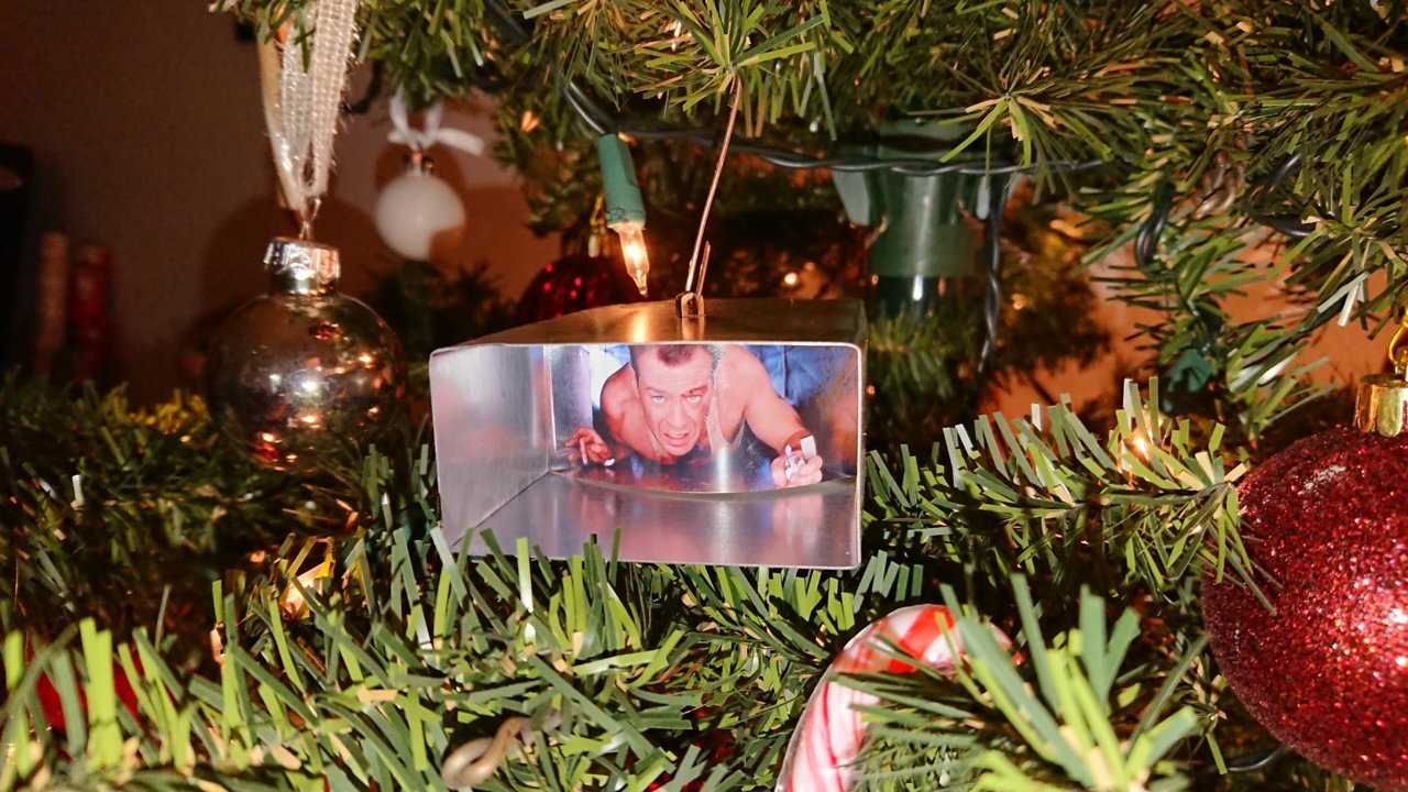 DSC_0203.jpg