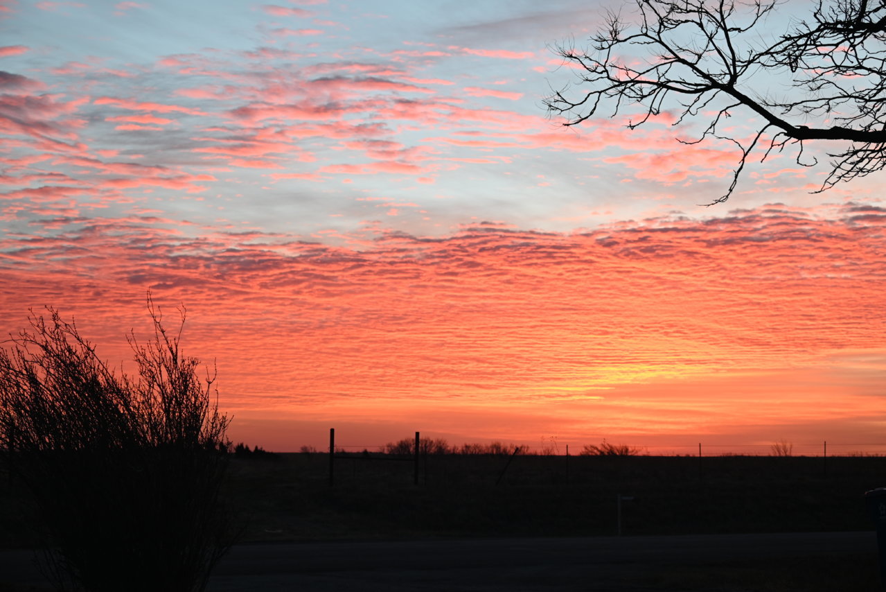 DSC_0203.jpg