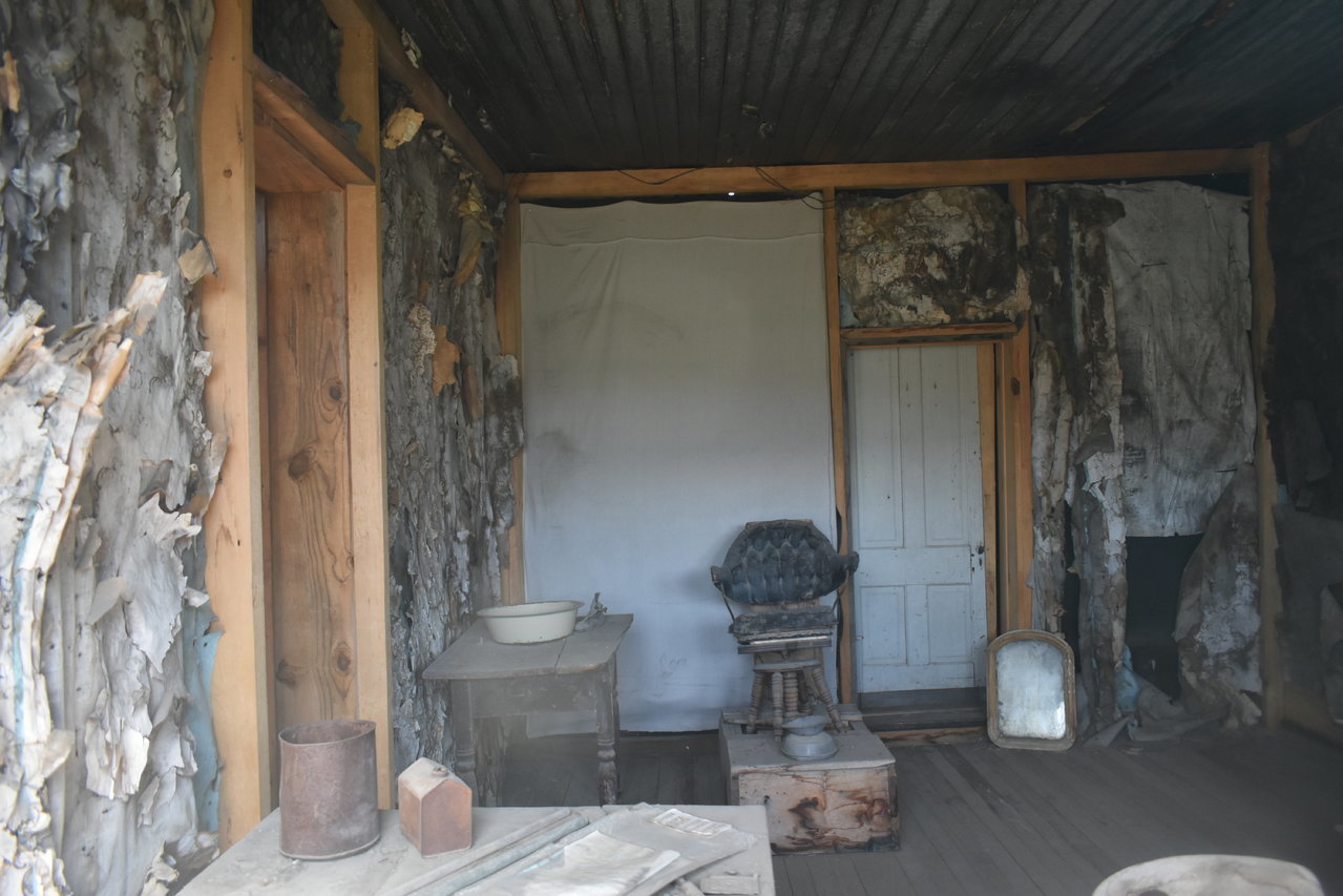 DSC_0204.jpg