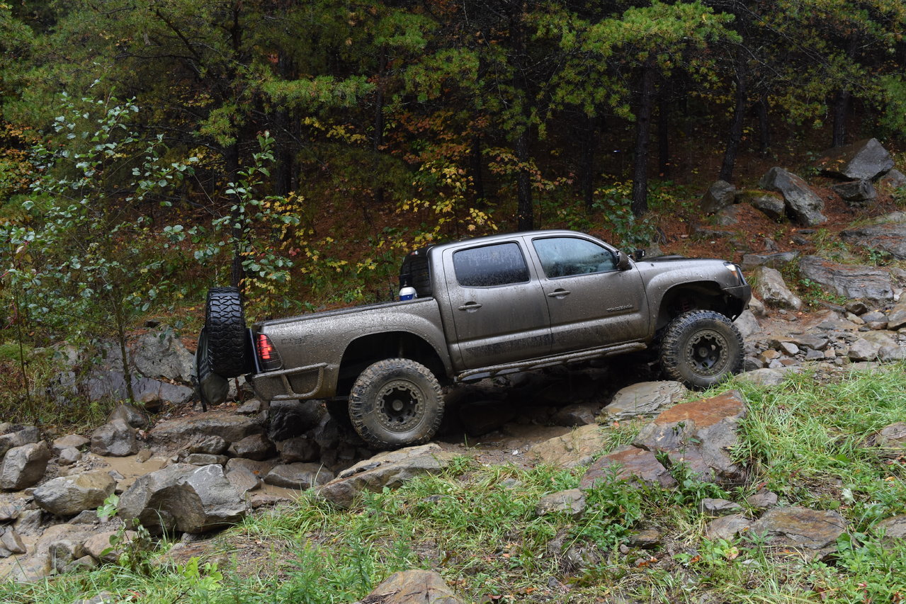 DSC_0204.jpg
