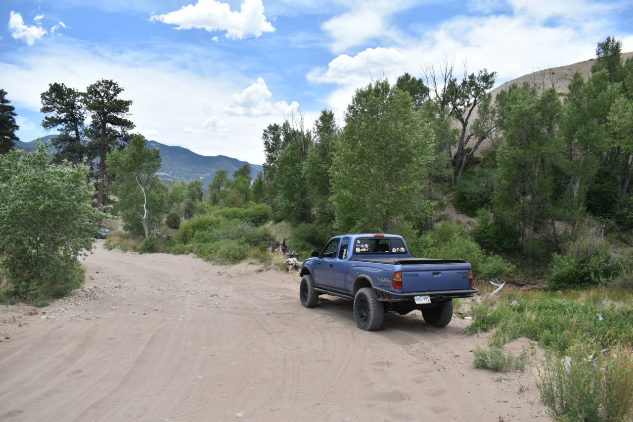 DSC_0204.jpg