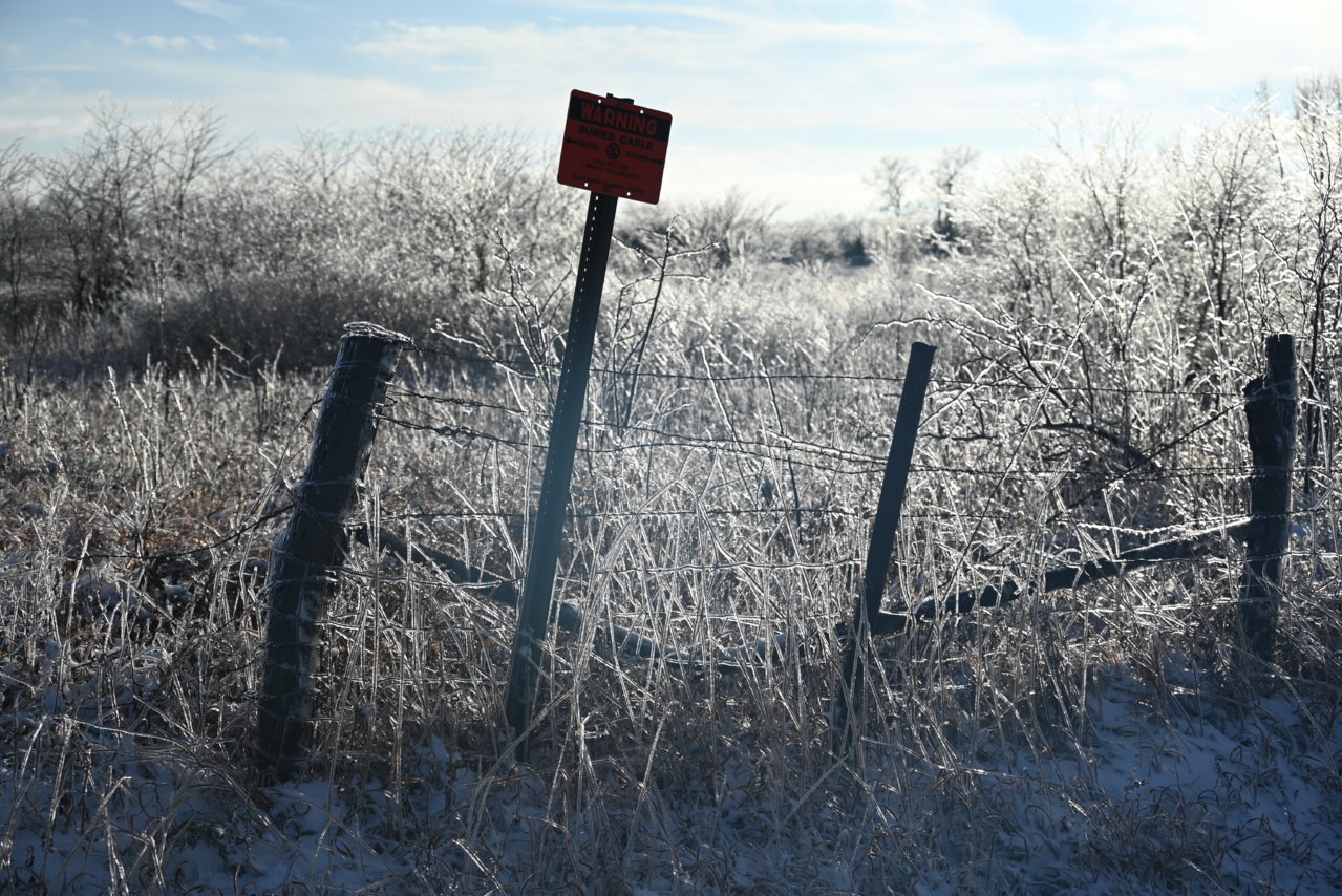 DSC_0204.jpg