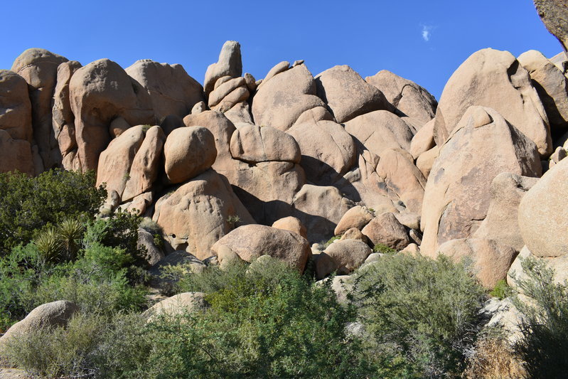 DSC_0206.jpg