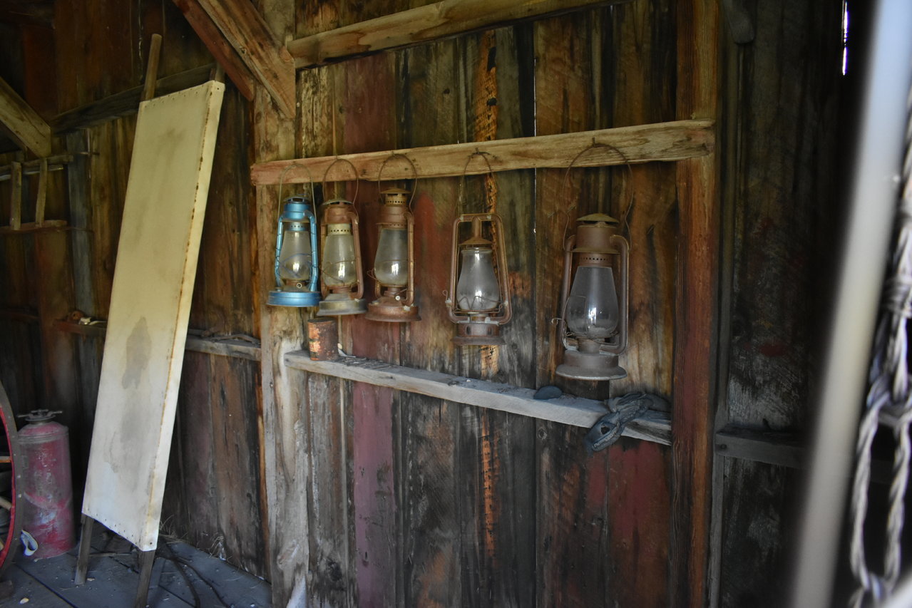 DSC_0206.jpg