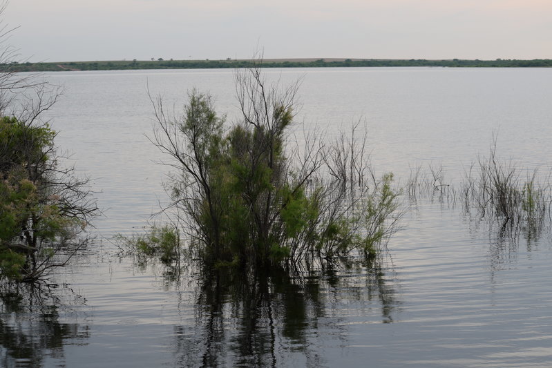 DSC_0207.jpg