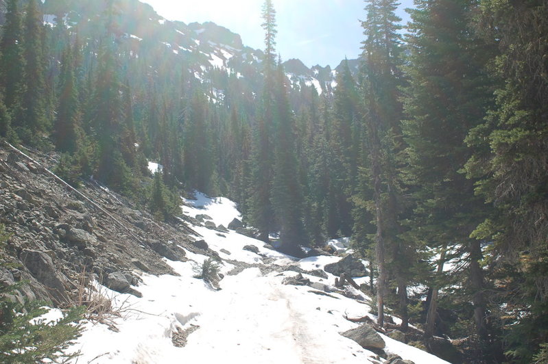 DSC_0208.jpg