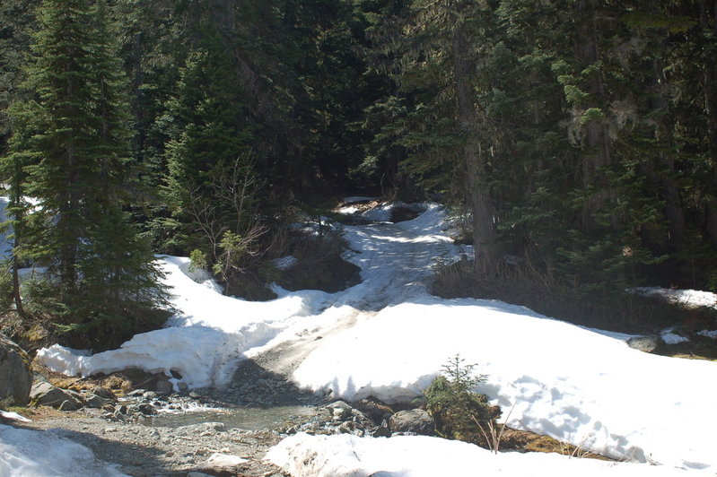 DSC_0210.jpg