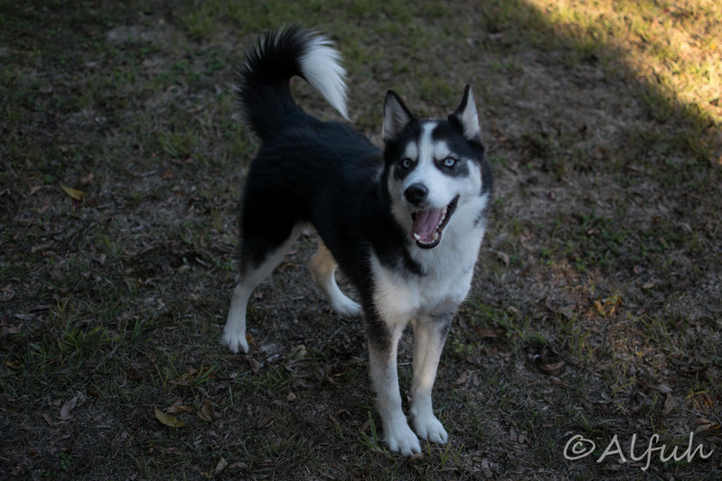 DSC_0212.jpg