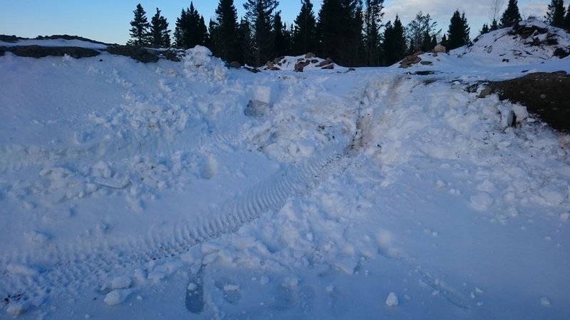 DSC_0212.jpg