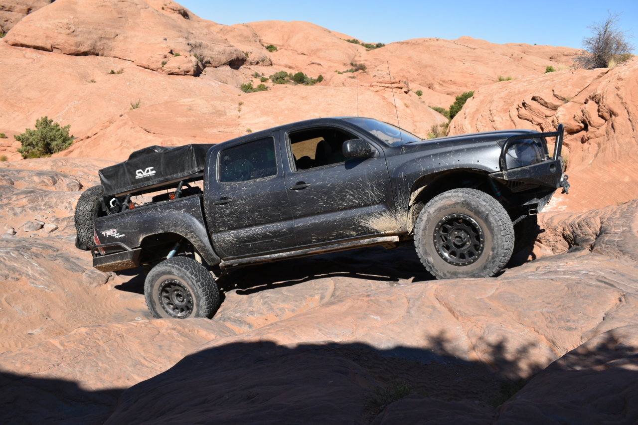 DSC_0212.jpg