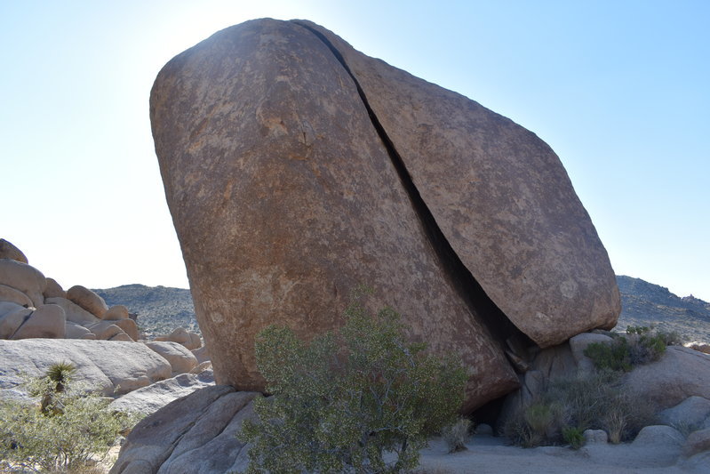 DSC_0213.jpg