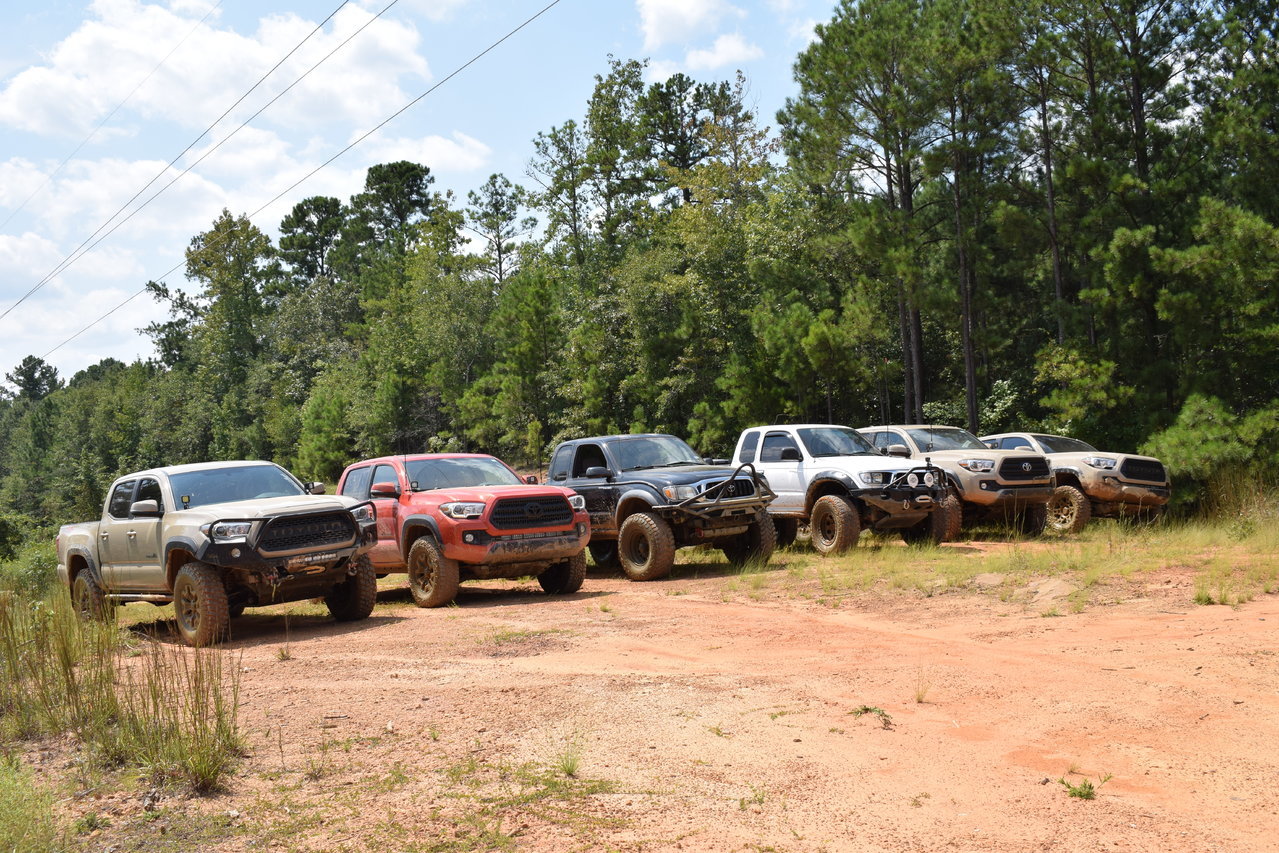 DSC_0215.jpg