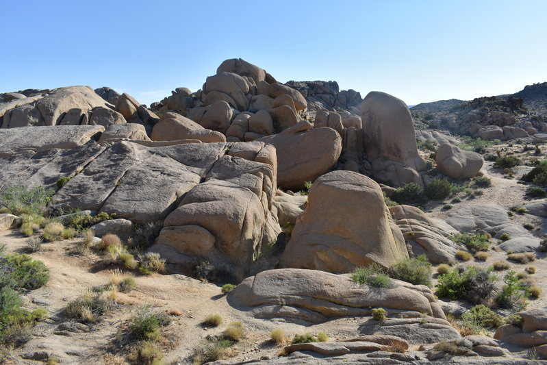 DSC_0217.jpg