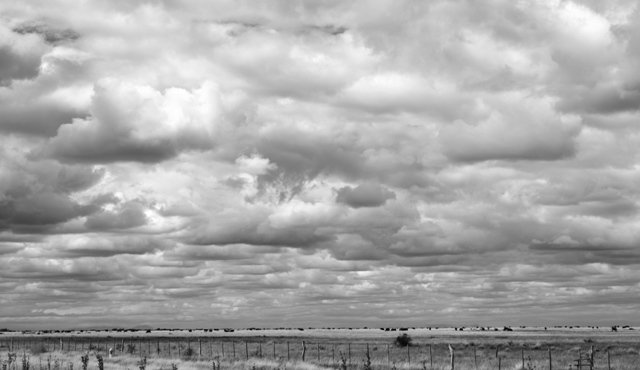 DSC_0217.jpg