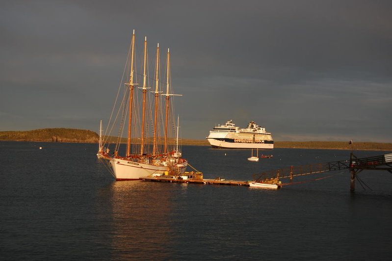 DSC_0218.jpg