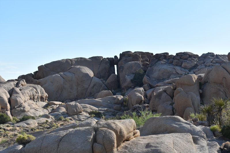 DSC_0219.jpg