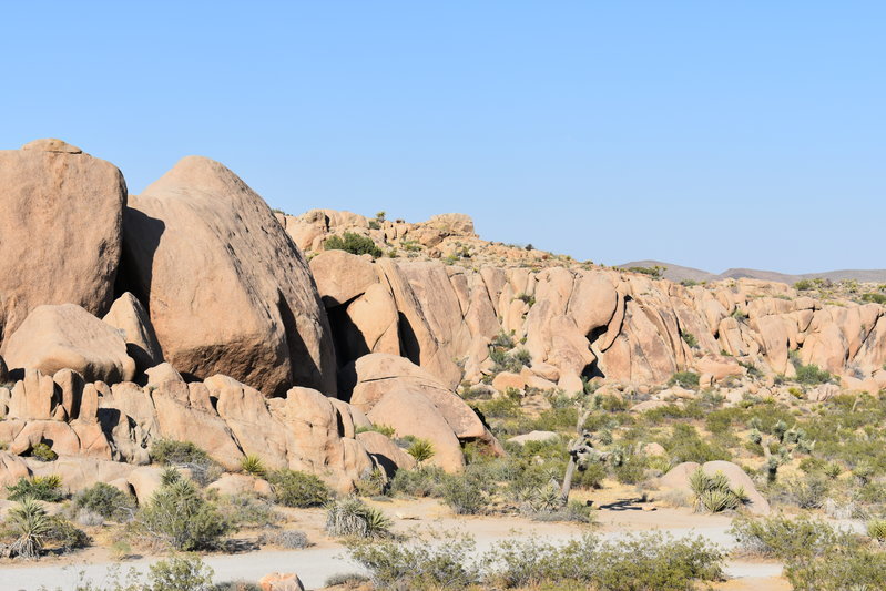 DSC_0220.jpg