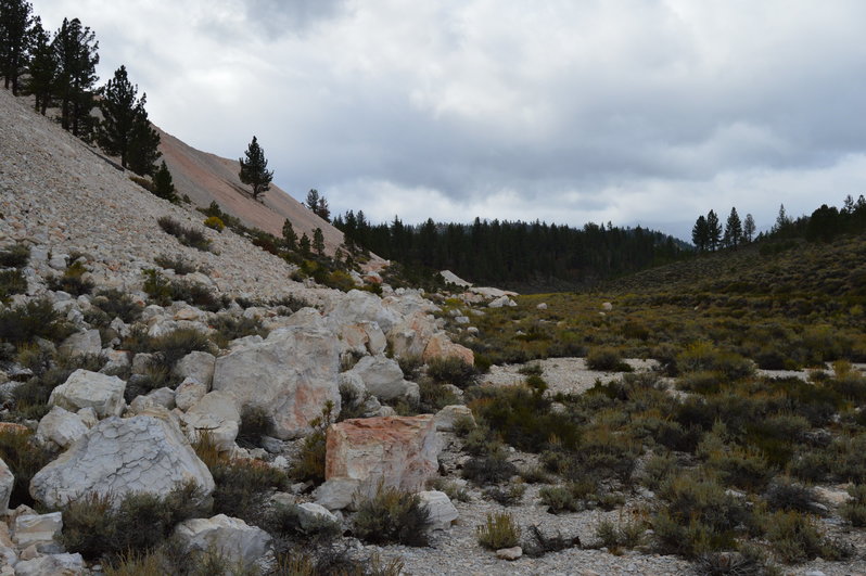 DSC_0223.jpg