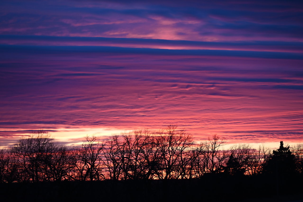 DSC_0224.jpg