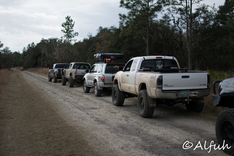 DSC_0224.jpg