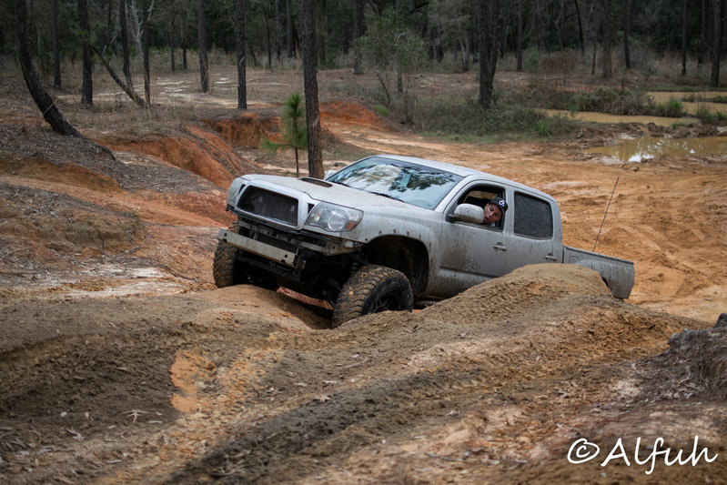 DSC_0226.jpg