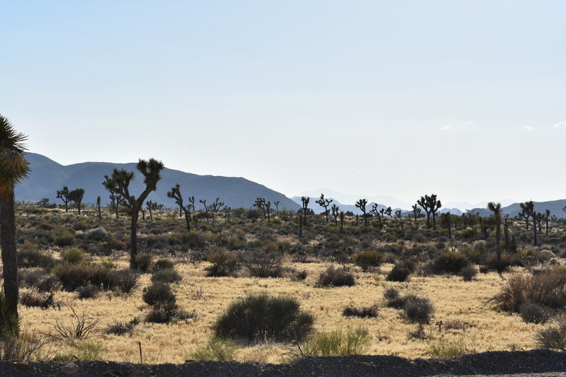 DSC_0235.jpg