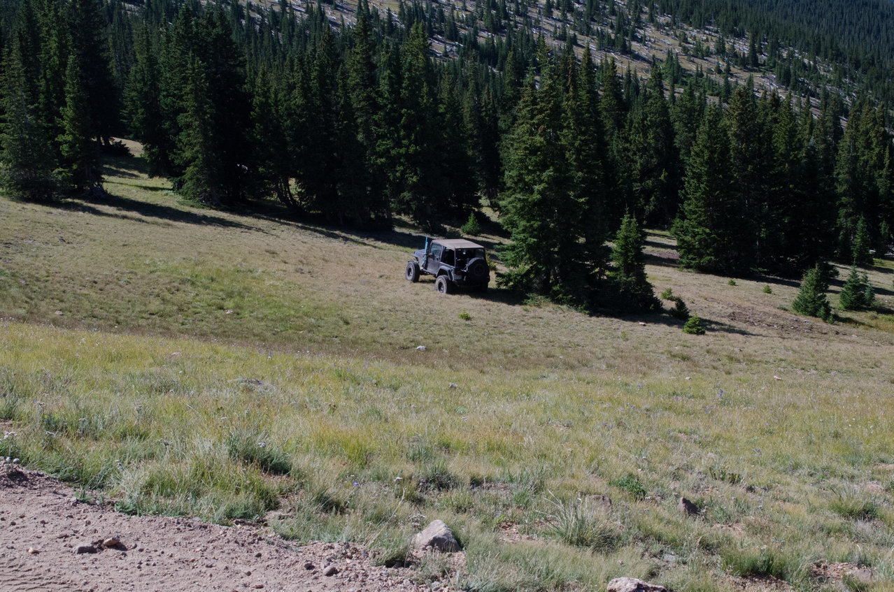 DSC_0235.jpg