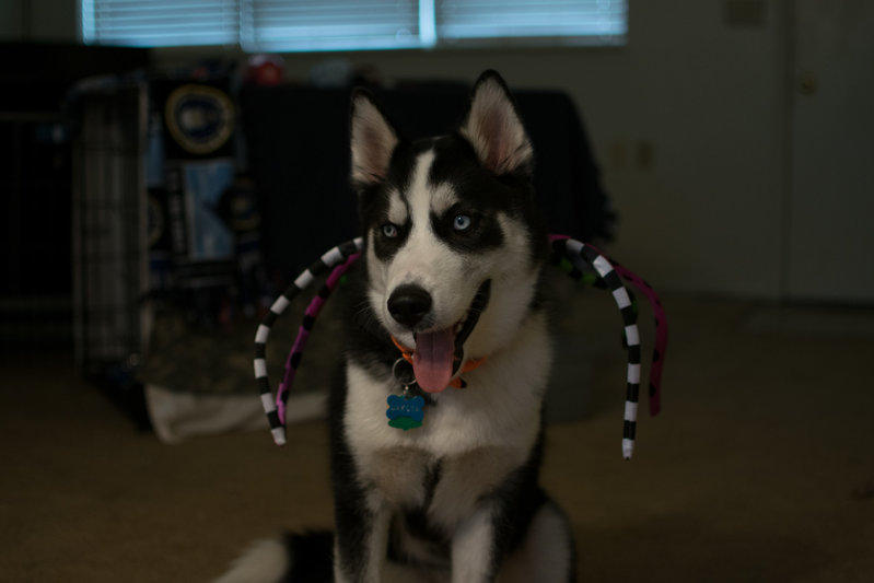 DSC_0236.jpg