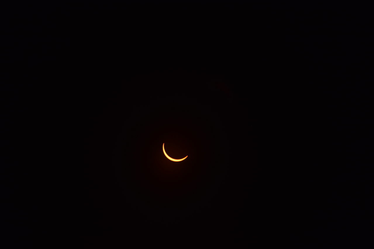 DSC_0242.jpg
