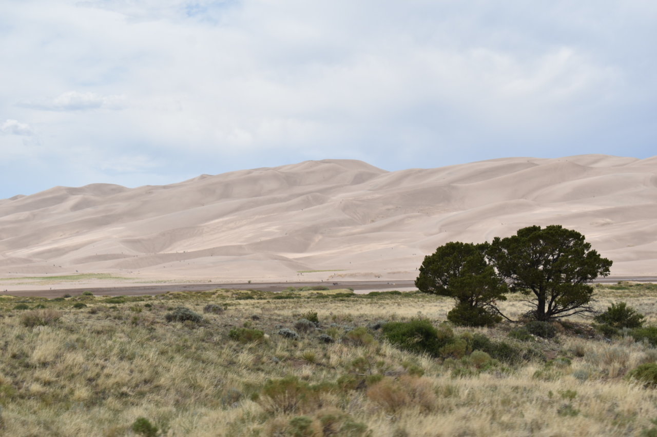 DSC_0243.jpg