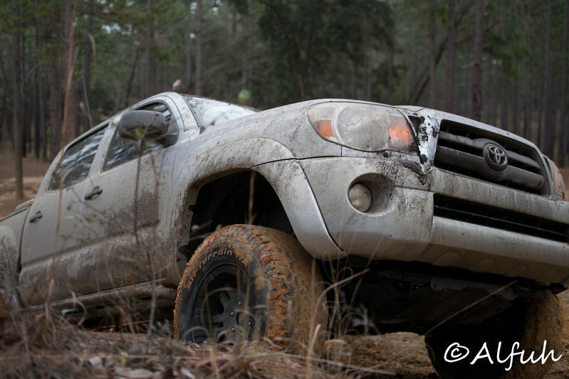 DSC_0245.jpg
