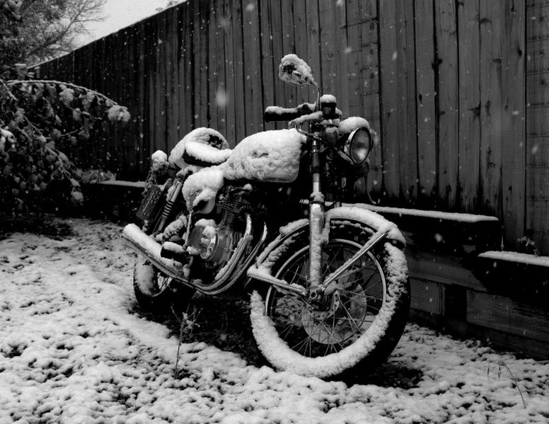 DSC_0245oo.jpg