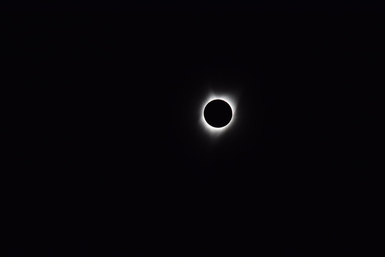 DSC_0251.jpg