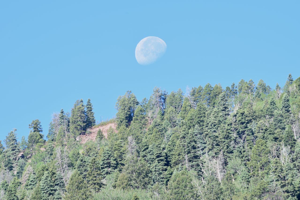 DSC_0251_2.jpg
