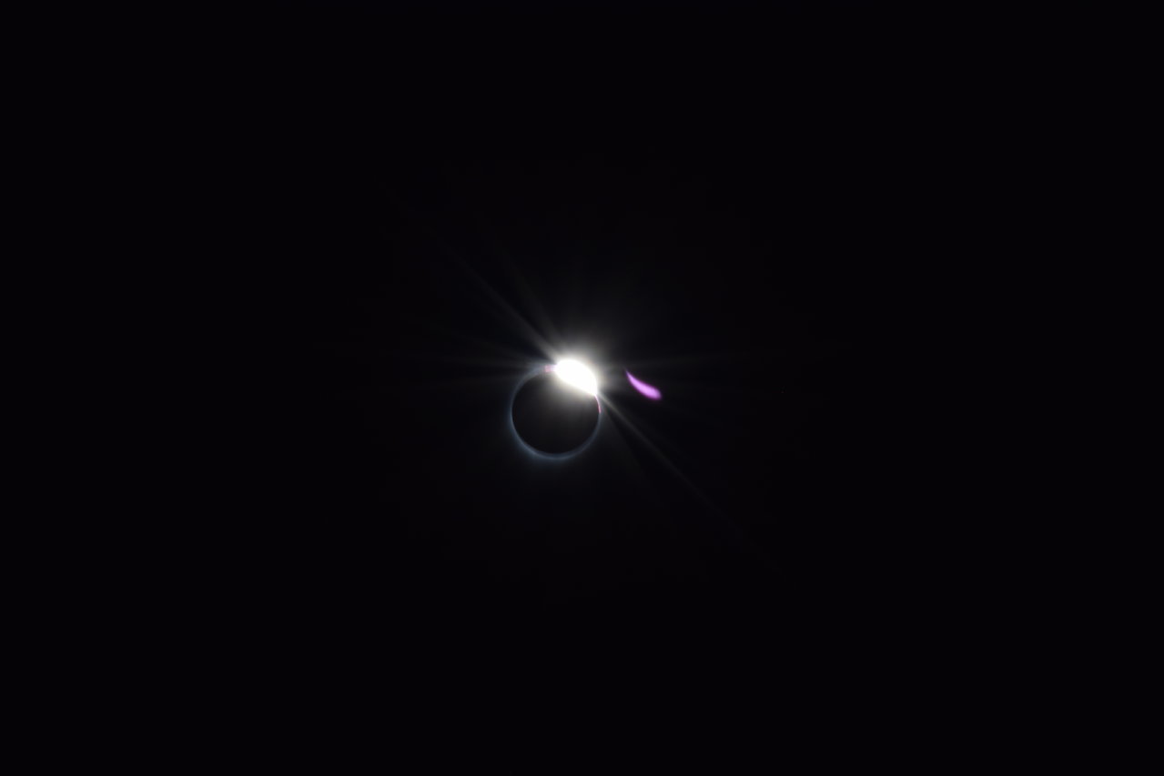 DSC_0255.jpg