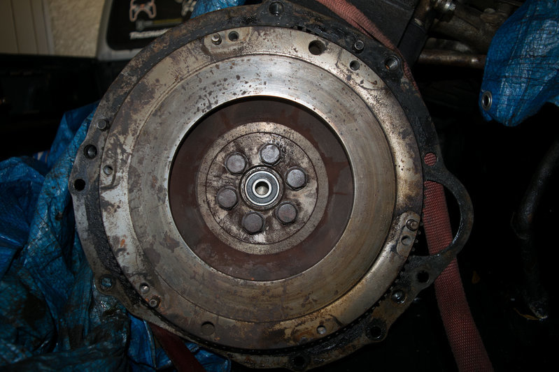 DSC_0257.jpg