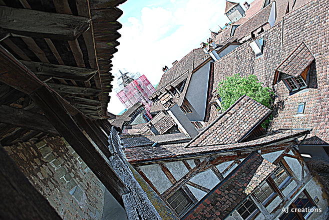 DSC_0261.jpg
