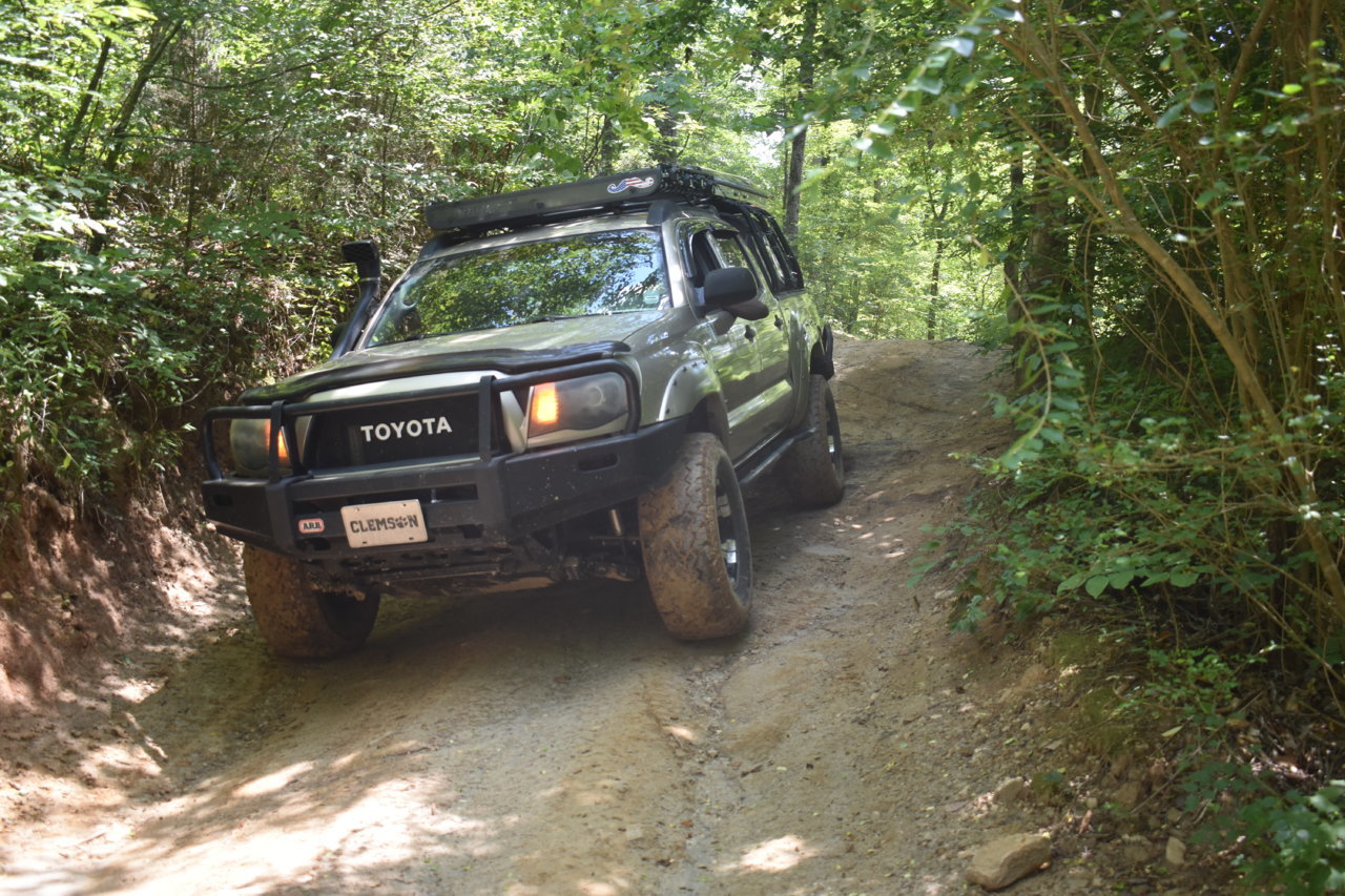 DSC_0262.jpg